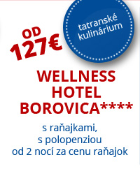 Wellness Hotel Borovica****