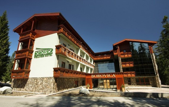 Hotel Borovica